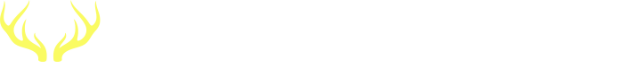 Promo Code Hunter
